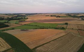 Domki w Winnicy - Świętokrzyska Winnica Knapów